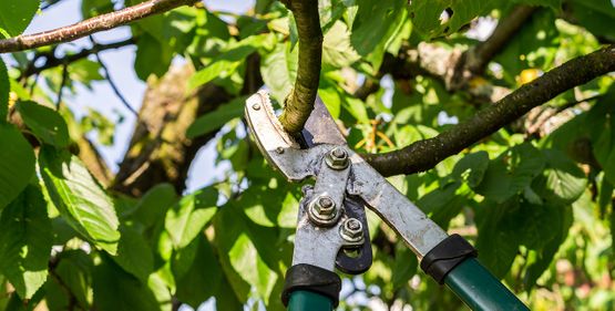 Gartenarbeit